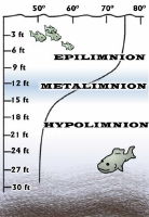 【epilimnion】什么意思_英语epilimnion的翻译_音标_读音_用法_例句_在线翻译_有道词典
