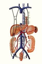 门静脉系统